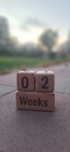 گاهشمار چوب راش با حروف حکاکی بدون روکش